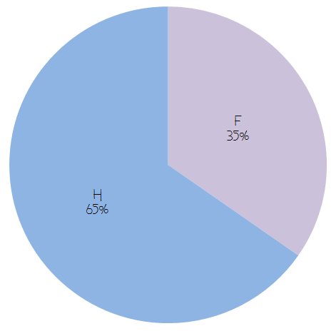 2014 - Répartition Hommes-Femmes